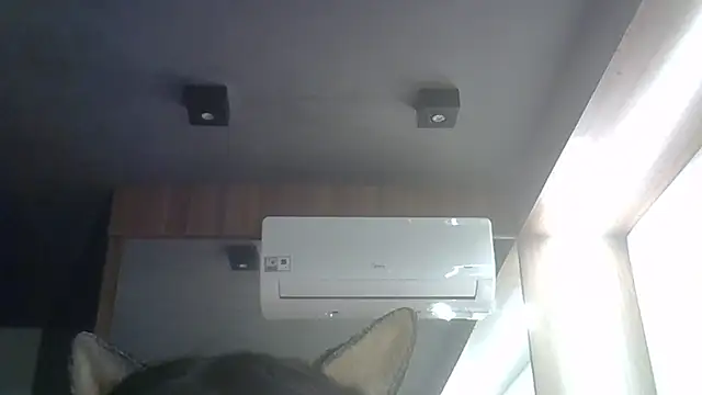 Snapshot of Skinny-Kitten chatting on August 6, 2026, 8:31 am Skinny-Kitten online show from August 6, 2026, 8:31 am