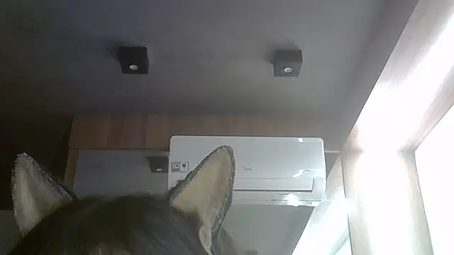 Snapshot of Skinny-Kitten chatting on July 28, 2026, 5:26 am Skinny-Kitten online show from July 28, 2026, 5:26 am