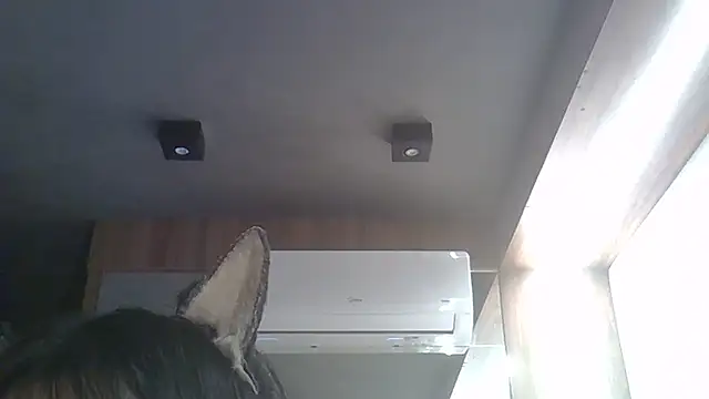 Skinny-Kitten online show from February 17, 2026, 1:41 pm