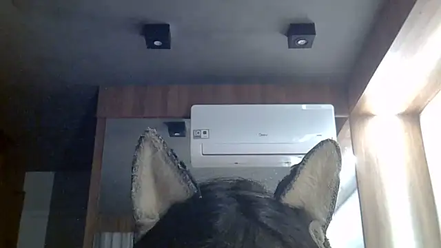 Snapshot of Skinny-Kitten chatting on June 30, 2026, 2:06 pm Skinny-Kitten online show from June 30, 2026, 2:06 pm