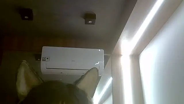 Snapshot of Skinny-Kitten chatting on July 23, 2026, 2:09 am Skinny-Kitten online show from July 23, 2026, 2:09 am