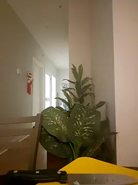 Snapshot of lofibunni chatting on March 18, 2026, 6:42 pm lofibunni online show from March 18, 2026, 6:42 pm