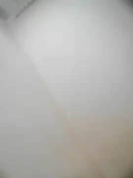 bestofyalcinturkey online show from December 22, 2024, 10:28 am