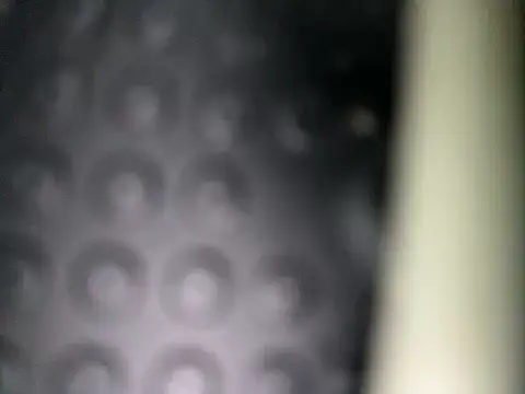 Danii0790 online show from November 8, 2025, 6:39 am