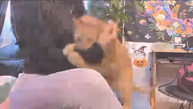 MYFAVOURITESTRAGER online show from October 30, 2025, 4:04 pm