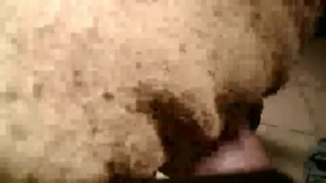 Dan3106x online show from March 19, 2026, 7:14 pm