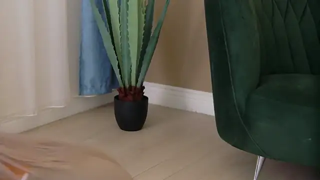 Bailey Rush online show from December 5, 2025, 3:54 pm