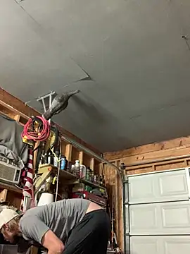 Snapshot of Midwestalpha chatting on March 15, 2026, 7:37 am Midwestalpha online show from March 15, 2026, 7:37 am