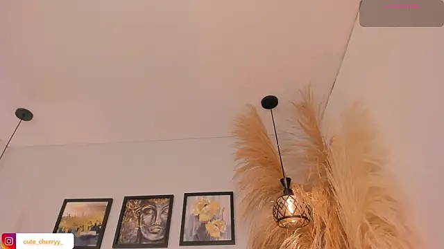 cute  cherry  online show from July 14, 2026, 2:05 am