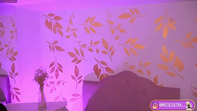 Snapshot of Misselektra__ chatting on June 17, 2026, 4:01 am Misselektra online show from June 17, 2026, 4:01 am