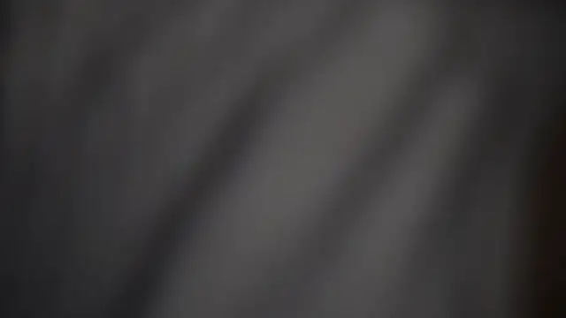 -AyeshaSinghania- online show from February 17, 2026, 1:30 pm