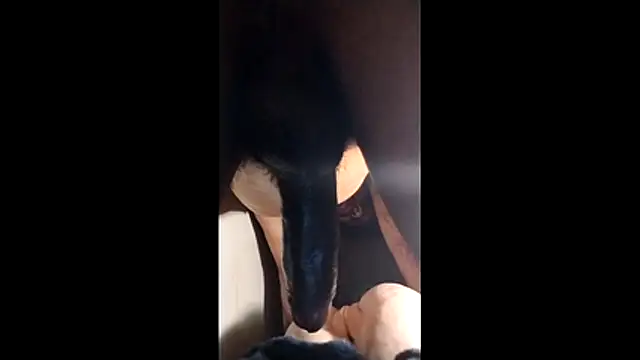 Bigcockmexi13 online show from November 23, 2025, 12:48 pm