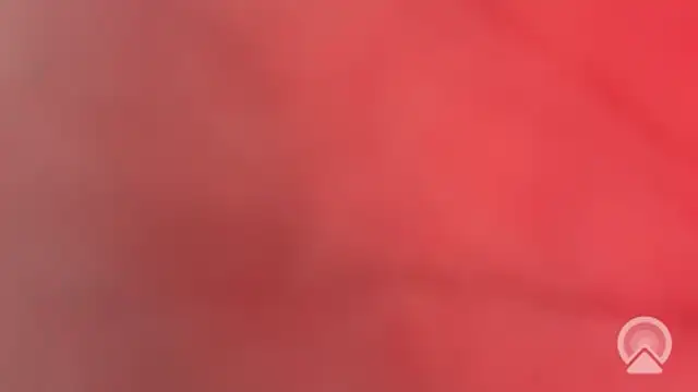 Aulonocara86 online show from February 10, 2026, 12:15 pm