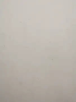 Shuttii 25 online show from February 17, 2025, 5:04 am