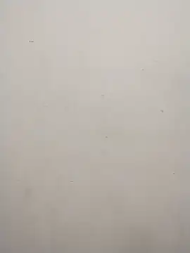 Shuttii 25 online show from February 11, 2025, 4:35 pm