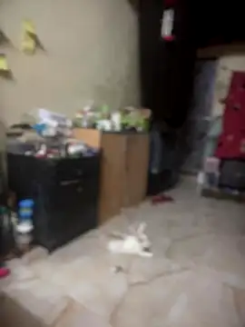 PARI Hun online show from September 26, 2025, 4:36 pm