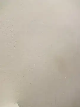 addu24 online show from January 13, 2025, 4:51 pm