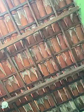 Duduhott online show from January 18, 2026, 12:41 pm