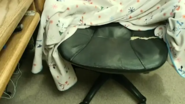 Snapshot of bigwurn chatting on March 1, 2026, 11:21 am bigwurn online show from March 1, 2026, 11:21 am