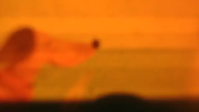 mr key  online show from October 19, 2025, 11:02 am