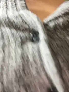 Asia-Lynn online show from March 12, 2025, 4:56 pm