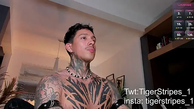 TigerStripes1  online show from February 22, 2025, 1:11 am