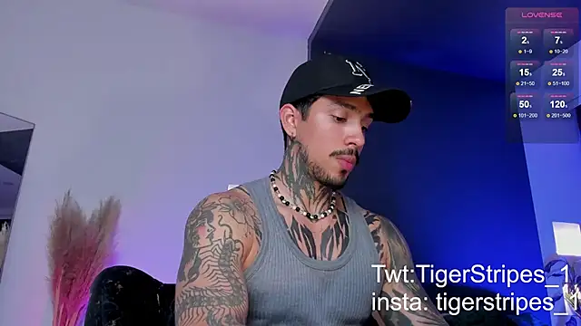 TigerStripes1  online show from March 19, 2025, 12:59 am