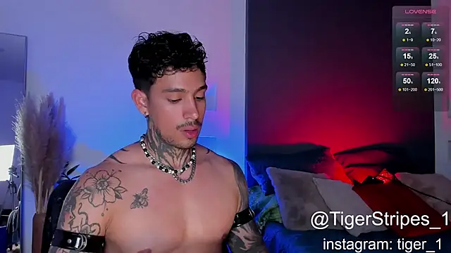 TigerStripes1  online show from February 2, 2025, 10:28 pm