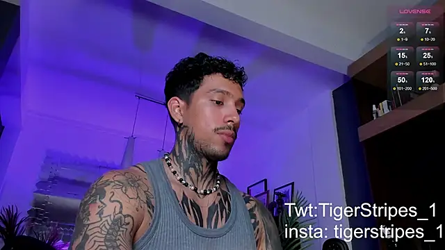 TigerStripes1  online show from March 2, 2025, 1:47 am