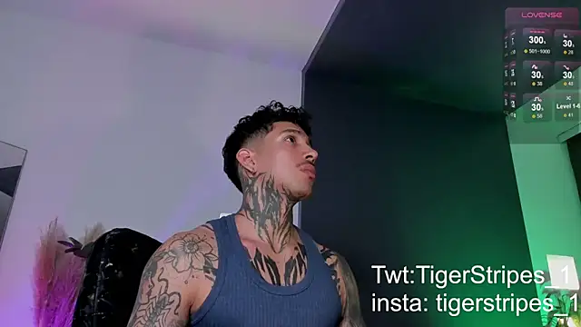 TigerStripes1  online show from March 20, 2025, 11:56 pm