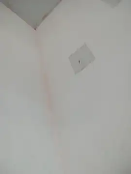 loiradiva29 online show from March 22, 2025, 2:25 pm