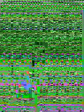 kvr27 online show from July 12, 2026, 1:34 pm