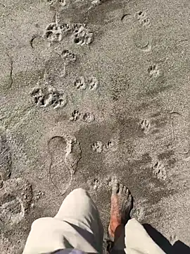 kvr27 online show from January 7, 2026, 3:06 pm